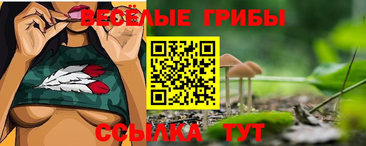 Галлюциногенные грибы прущие грибы  Вход с VPN  Зеленокумск 
